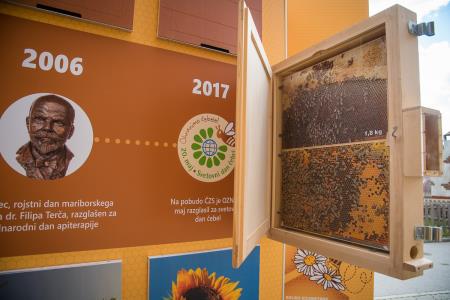 2021-3 PAVILJON LAJEVEC PHOTOGRAPHY NET (17)